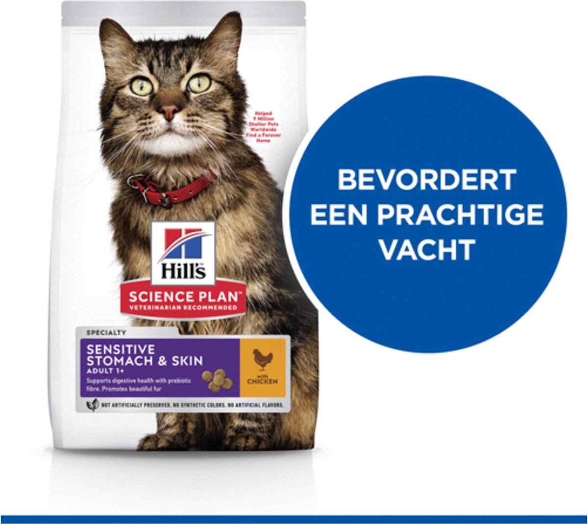 Seau à Riz Hermétique 20 L - Bac à Céréales Pour Aliments Secs, Farine, Pâtisserie Et Nourriture Animaux