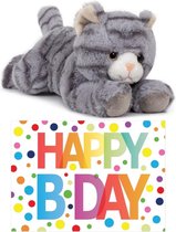 Coffret cadeau peluche chat / chat gris 25 cm avec grand format A5 carte de voeux Happy anniversaire