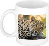 Dieren foto mok luipaard - jaguars/ luipaarden beker wit 300 ml