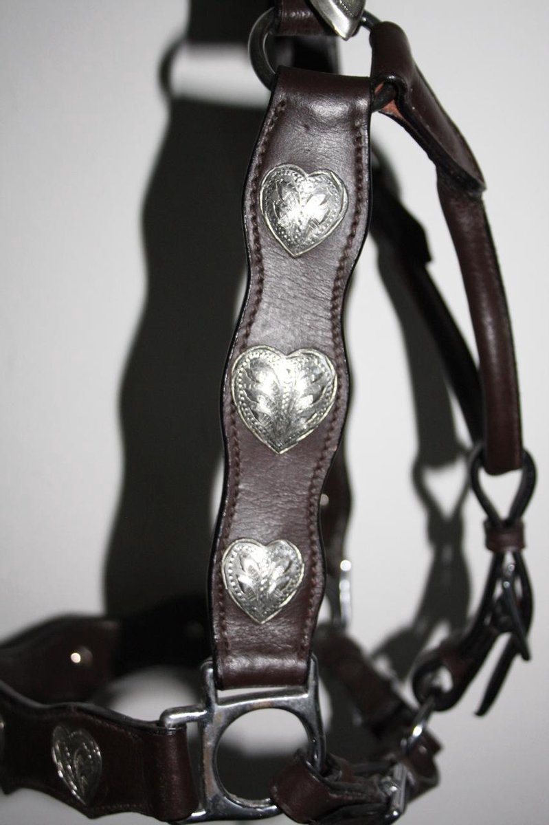 Licol Western Argenté – Cuir épais Avec 11 Barils Argentés – Neuf Avec étiquettes