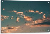 Tuinposter – Vogels in de Lucht - 90x60cm Foto op Tuinposter  (wanddecoratie voor buiten en binnen)