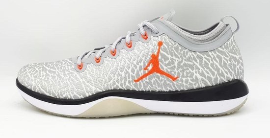 Nike Jordan 23 - Wolf Grey / Pure PLatinum - Maat 46 | bol.com