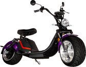 Elektrische scooter model Harley 3.0 20ah 25KM/H
