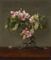 Martin Johnson Heade, Appelbloesem, 1873 op canvas, afmetingen van dit schilderij zijn 75 X 100 CM