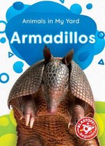 Animals in My Yard- Armadillos