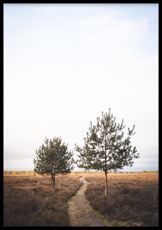 Poster Doorwerthse Heide - 30x40 cm Met Fotolijst - Natuur Poster - Ingelijst - WALLLL