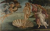Botticelli - De geboorte van Venus (1000 stukjes, kunst puzzel)