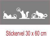 Raamsticker - muursticker spelende poesjes - poezen - kat - katjes - katten kleur wit  60 x 30 cm bxh