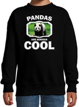 Dieren pandaberen sweater zwart kinderen - pandas are serious cool trui jongens/ meisjes - cadeau grote panda/ pandaberen liefhebber 9-11 jaar (134/146)