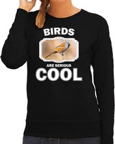 Dieren vogels sweater zwart dames - birds are serious cool trui - cadeau sweater baardmannetje vogel/ vogels liefhebber S