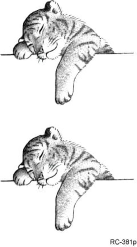 Tatouage Temporaire Tatouage Temporaire Faux Tatouage Bebe Lion Endormi 6 X Bol Com