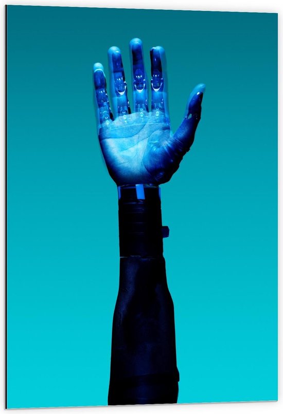 Dibond - Blauwe Hand - 60x90cm Foto op Aluminium (Met Ophangsysteem)