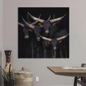 Canvas Schilderij - Watusi | 60 x 60 cm | PosterGuru