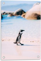 Tuinposter – Schattige Kleine Pinguïn - 40x60cm Foto op Tuinposter  (wanddecoratie voor buiten en binnen)