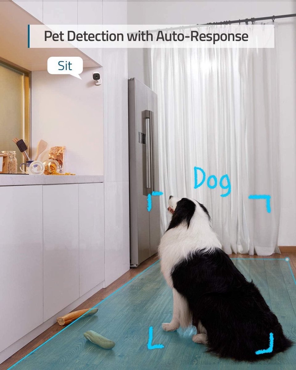 Eufy 2K Indoor Beveiligingscamera met Persoonsherkenning - afbeelding 2