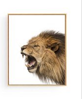 Poster Safari Leeuw Brul  - 50x40cm - Safari Jungle Dieren - Muurdecoratie