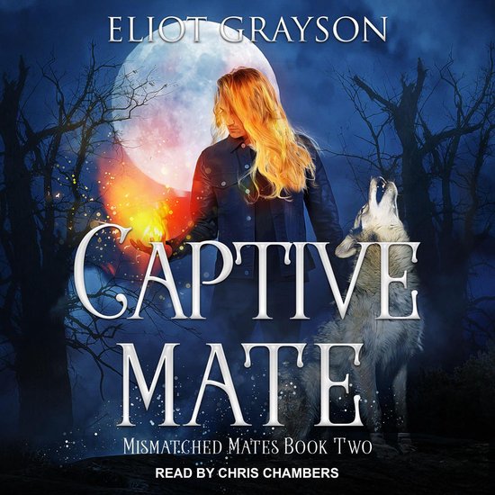 Captive Mate - cover