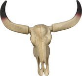 Buffel schedel met hoorns - SKULL - wit - polystone - muurdecoratie - 44 x 42 cm