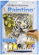 Schilderen op nummer - Paint by numbers - Dieren - Witte tijger met welpje 22x30cm - Schilderen op nummer volwassenen - Paint by numbers volwassenen