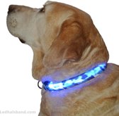 Sharon B | Blauwe leger print LED halsband maat L voor je hond | Verlichte halsband voor honden | Maat S t/m XL en in meerdere kleuren | LED hals band | LED hondenriem | LED honden