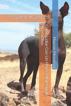 Como Lidiar Con Un Perro Xoloitzcuintle Hiperactivo