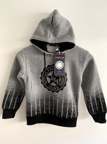 hoodie voor jongens/110-116