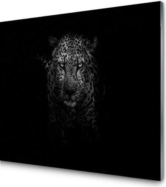 Glasschilderij Luipaard zwart wit | 50 X 50 CM | 4 mm gehard glas | Incl.  Blind... | bol.com