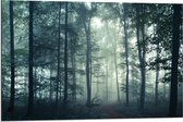 Dibond - Bos met Mist - 90x60cm Foto op Aluminium (Wanddecoratie van metaal)