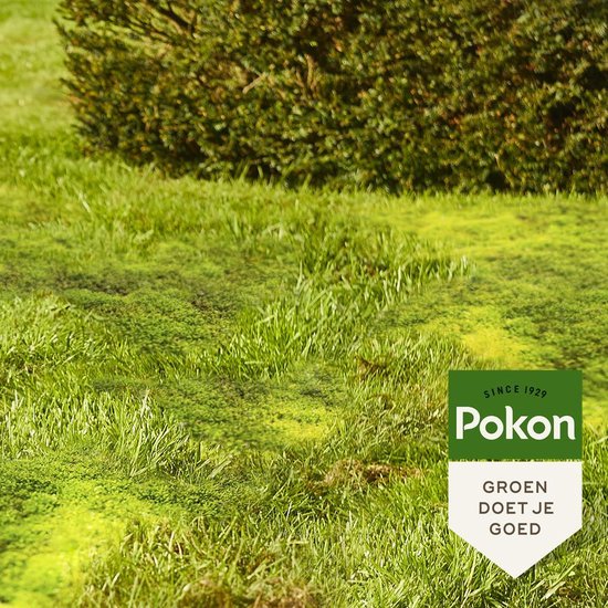 Pokon Mos Weg! - 3,5kg - Onkruidverdelger - Geschikt voor 100m² - Mosbestrijder - Anti mos gazon van Merkloos	 — afbeelding 4