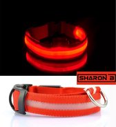 Rode LED halsband Maat S | honden halsband met verlichting | Licht in donker | 3 standen | LED hondenhalsband | LED hondenhalsband | LED hondenriem | LED hondenriem | Led hondentui