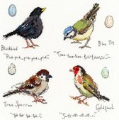 Garden Birds 2 by Madeleine Floyd Aida Borduurpakket Bothy Threads