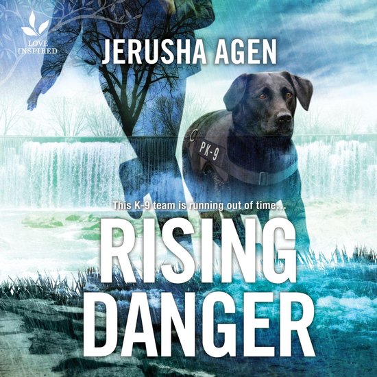 Rising Danger - cover