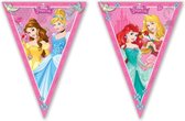 Disney Prinsessen vlagelijn Versiering 2,3 meter - Vlaggenlijn Disney Princess