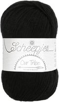 Scheepjes Our Tribe 881 Blackberry Black