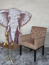 Black Elephant - Royal Queen - Eetkamerstoel - Horeca - Licht Bruin - Velvet