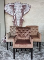 Black Elephant - Royal Queen - Eetkamerstoel - Horeca - Bruin - Velvet