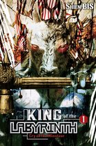 King of the Labyrinth (light novel) 1 - King of the Labyrinth, Vol. 1 (light novel)