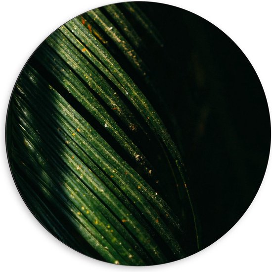 Dibond Wandcirkel - Groen Blad met Gouden Spikkels - 60x60cm Foto op Aluminium Wandcirkel (met ophangsysteem)