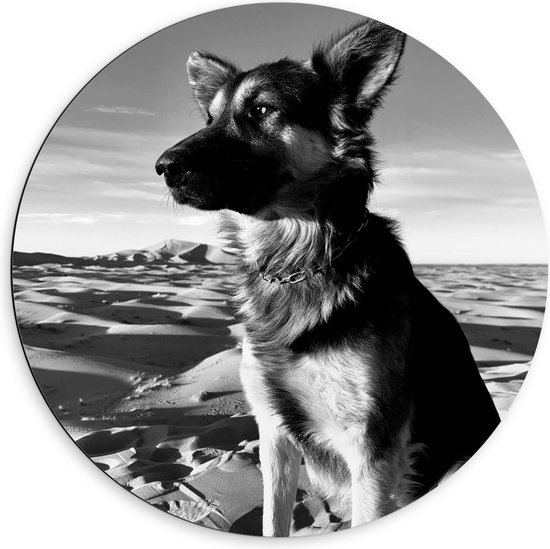 Dibond Wandcirkel - Hond op Strand (Zwart/wit) - 60x60cm Foto op Aluminium Wandcirkel (met ophangsysteem)