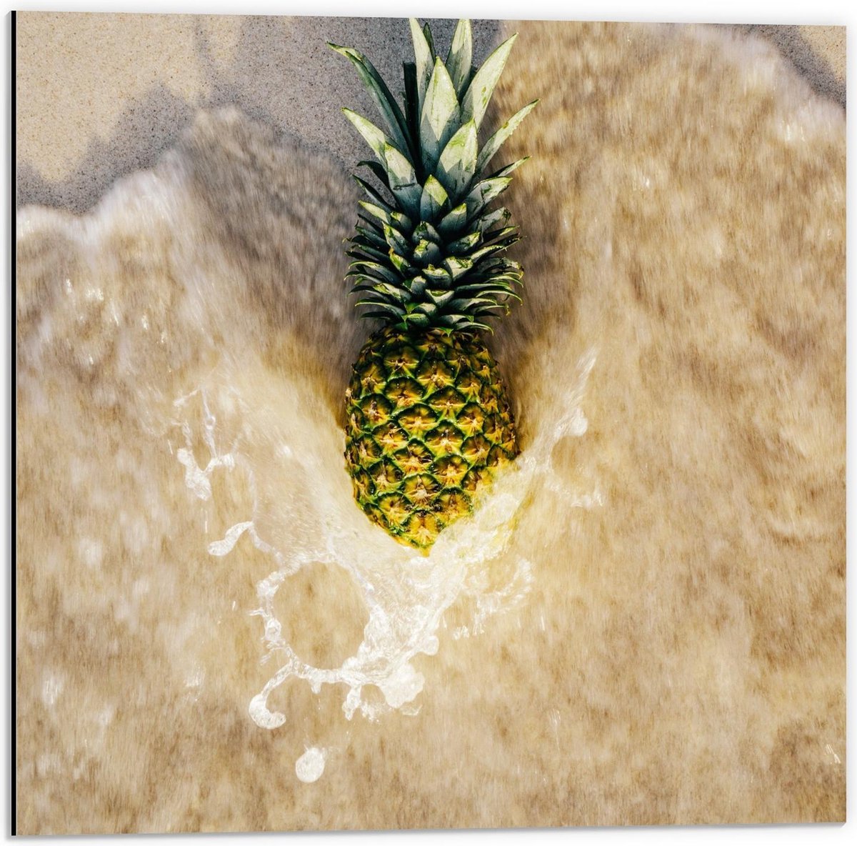 Dibond - Ananas in Zand met Zeewater - 50x50cm Foto op Aluminium (Wanddecoratie van metaal)