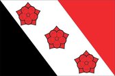 Vlag gemeente Roosendaal 70x100 cm