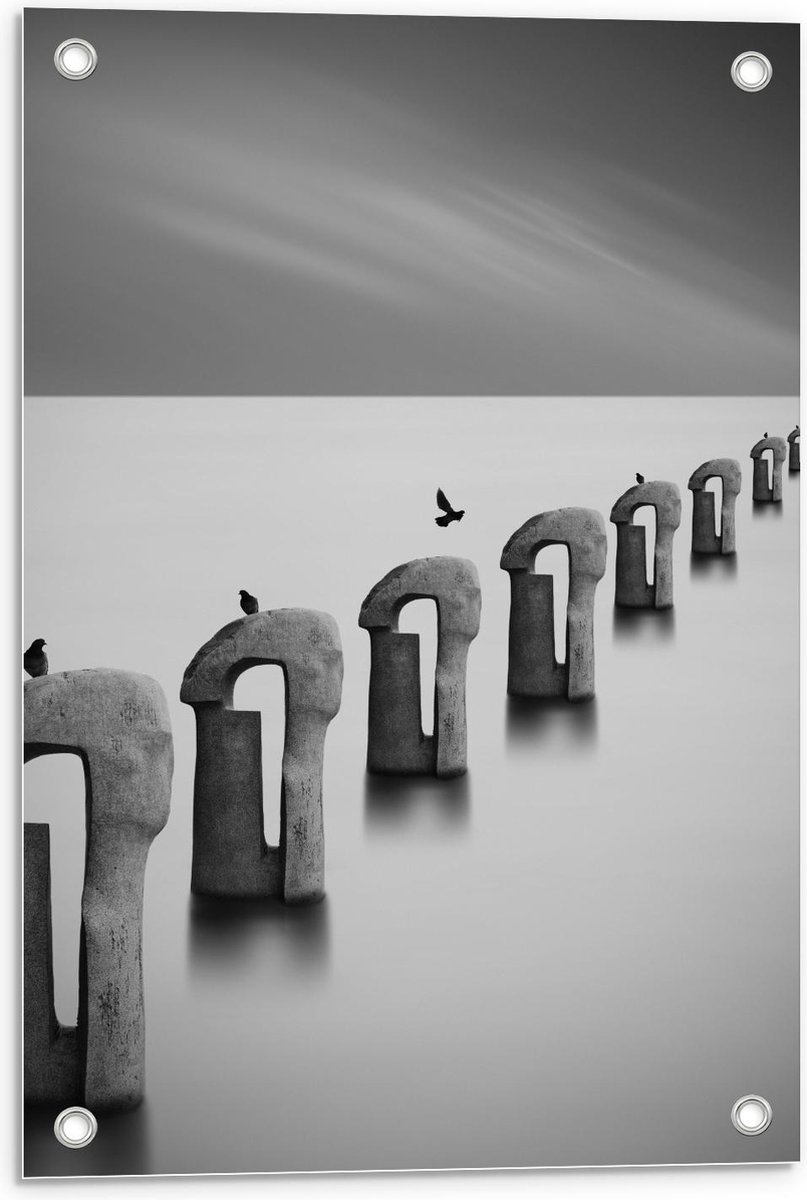 Tuinposter – Vogels op Betonnen Palen ( Zwart Wit ) - 40x60cm Foto op Tuinposter (wanddeco