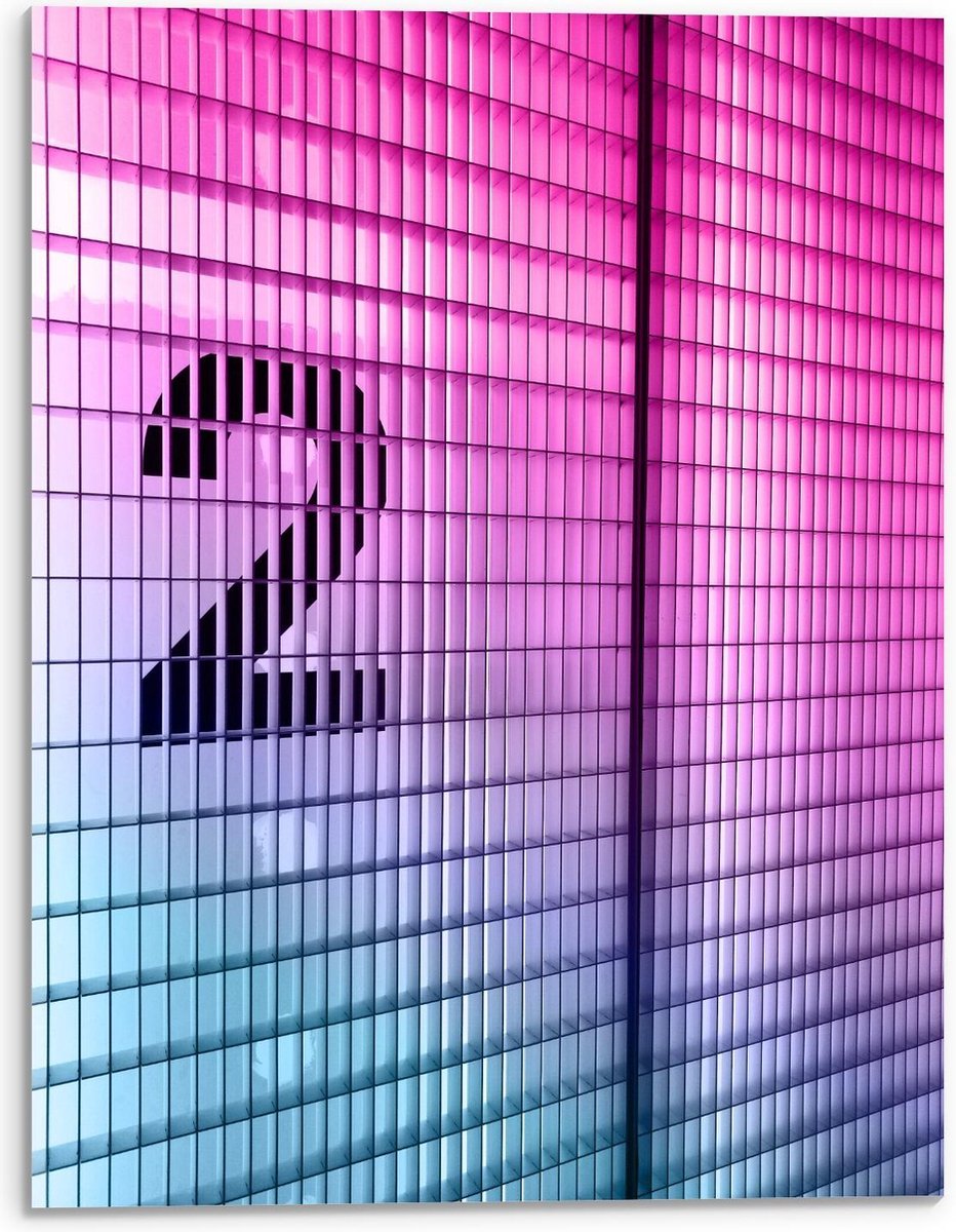 Plexiglas - Zwarte Twee op Roze Muur - 30x40cm Foto op Plexiglas (Wanddecoratie op Plexiglas)