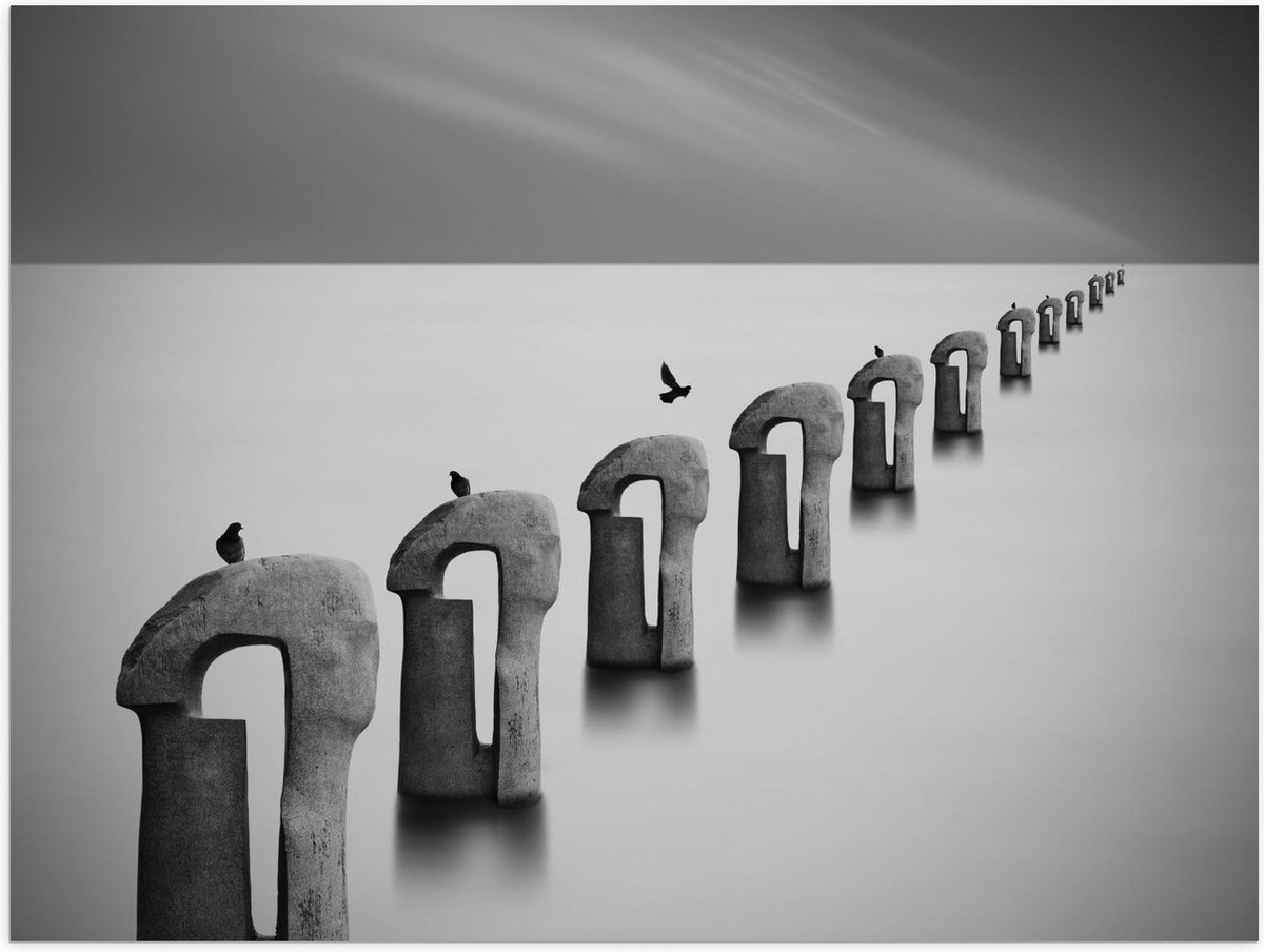 Poster – Vogels op Betonnen Palen ( Zwart Wit ) - 40x30cm Foto op Posterpapier