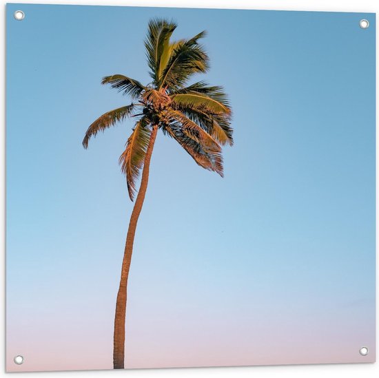 Tuinposter – Palmboom op Strand met Zee - 80x80cm Foto op Tuinposter  (wanddecoratie voor buiten en binnen)
