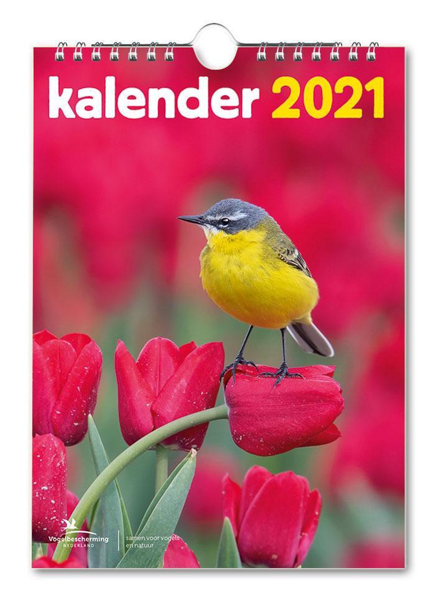 Vogelbescherming maandkalender 2021 - Bekking & Blitz