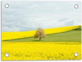 Tuinposter – Fel Gele Bloemen met Boom in Grasveld - 40x30cm Foto op Tuinposter  (wanddecoratie voor buiten en binnen)