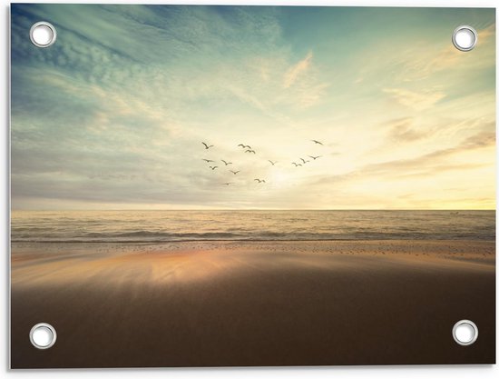 Tuinposter – Vogels boven de Zee op het Strand - 40x30cm Foto op Tuinposter  (wanddecoratie voor buiten en binnen)