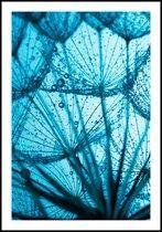 Poster Droogbloemen blauw