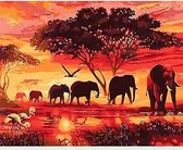 Sellaio® - Schilderen op Nummer Volwassenen - 40x50 cm - Olifanten - Savanne - Safari - Paint by Number - Hobby Pakket - Met 3 kwasten - Zonder lijst - Met ophanghaakjes